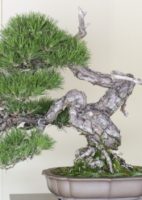 3c4df32ed4f58597dbd6284e881df0a9_s