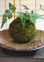 704ea38f3eb331e6dcd9635f78573adf_s