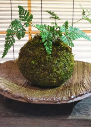 704ea38f3eb331e6dcd9635f78573adf_s