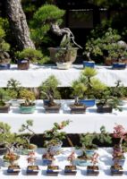 90e37d9d3beae6cef13c04e38c80df2b_s