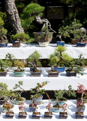 90e37d9d3beae6cef13c04e38c80df2b_s