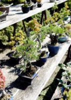 e6fefd660e3696f956c3231252896af0_s