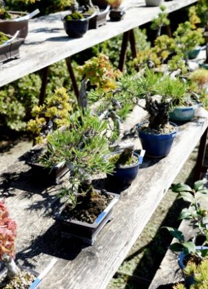 e6fefd660e3696f956c3231252896af0_s